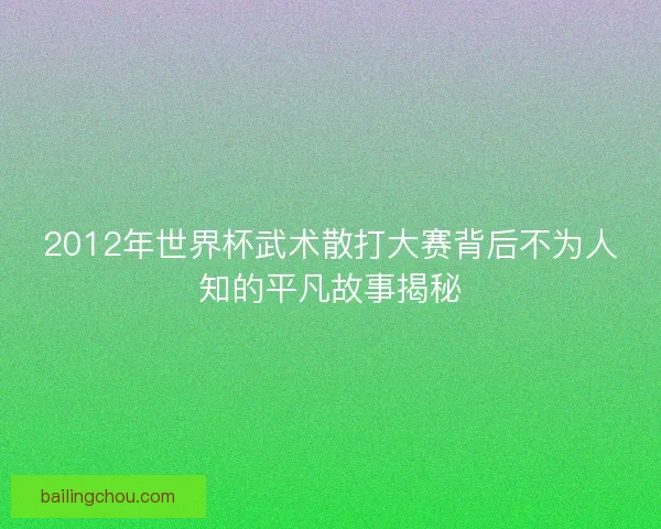2012年世界杯武术散打大赛背后不为人知的平凡故事揭秘