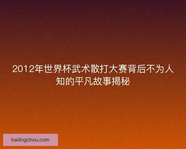 2012年世界杯武术散打大赛背后不为人知的平凡故事揭秘